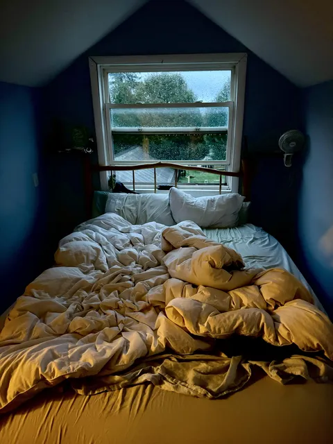 It's 60 degrees and I hear the tree frogs chirping and rain falling lightly. 