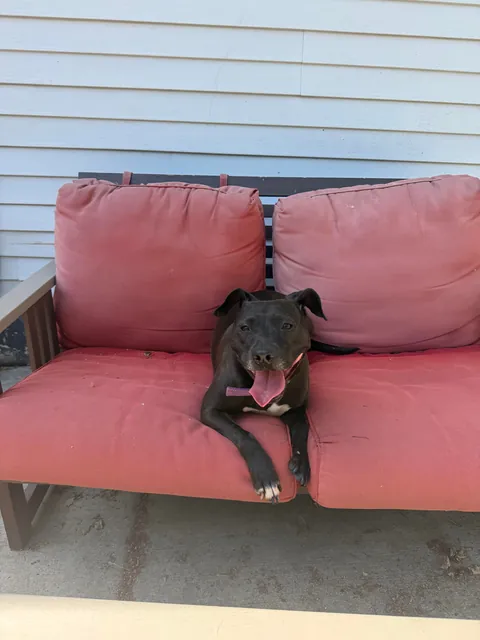 Last Waffles update for today. Cozy and calm after a big day.