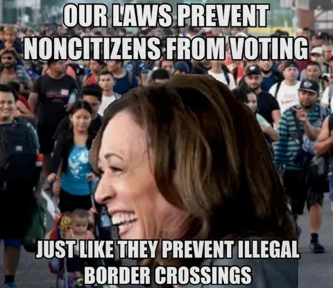 Our Laws Prevent Non-Citizens From Voting