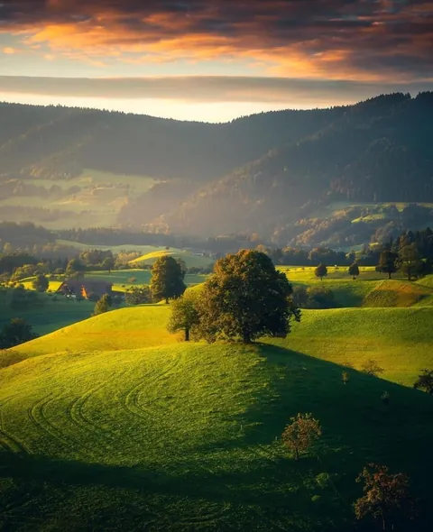 🔥 A collection of photos showing how breathtaking Switzerland looks