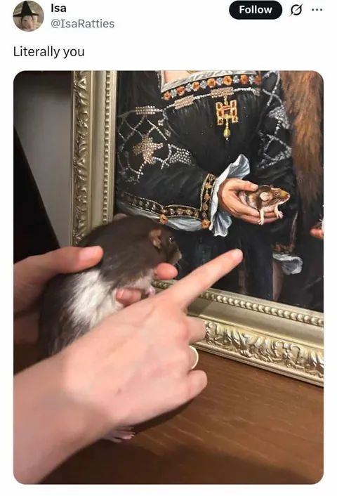 The Noble Rat Lineage