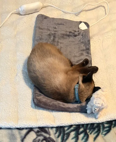 I JUST bought that heating pad…