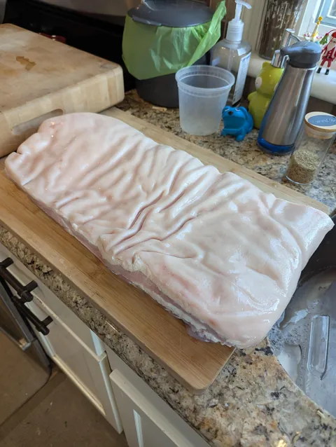 [Homemade] Porchetta from a 10lb pork belly