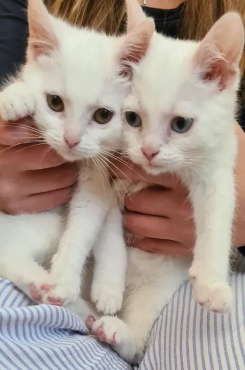 I just blinked and now my boys are so big☹️