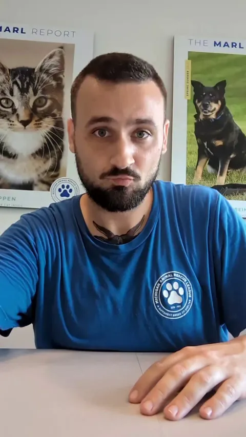 Unique Dog Breeds at the Shelter (Part 4) 💙