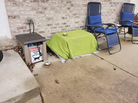 Upgrade for the neighborhood stray