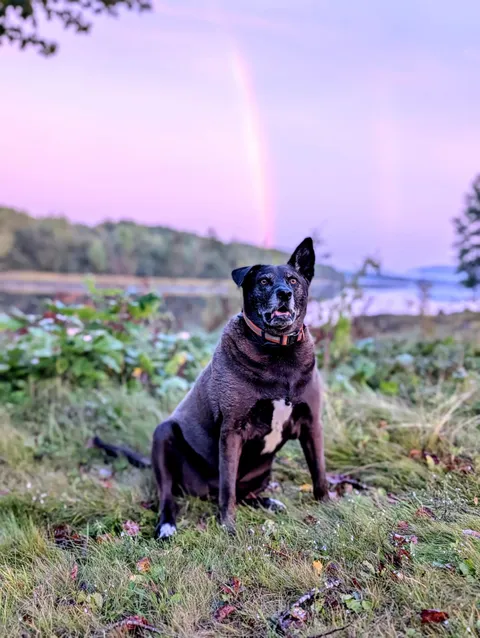 Golden Girl at the Golden Hour [OC]
