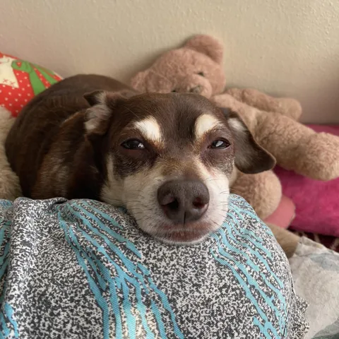 this boy turned 11 yesterday