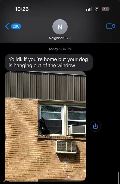 Quite the shocking text to get in the middle of a work meeting… Look at that smug face!