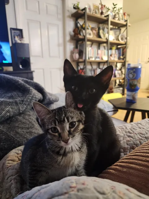 My babies are getting so big! 😭