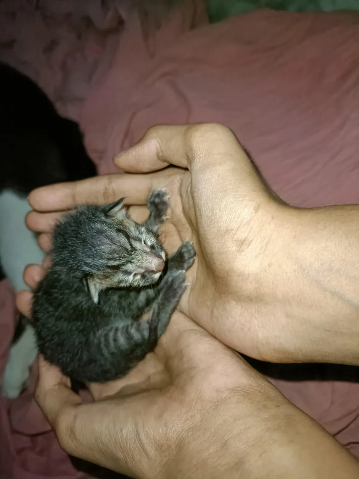 give lil bro a name he just spawned