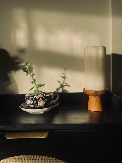 Trying to romanticize my rent part ✌🏻