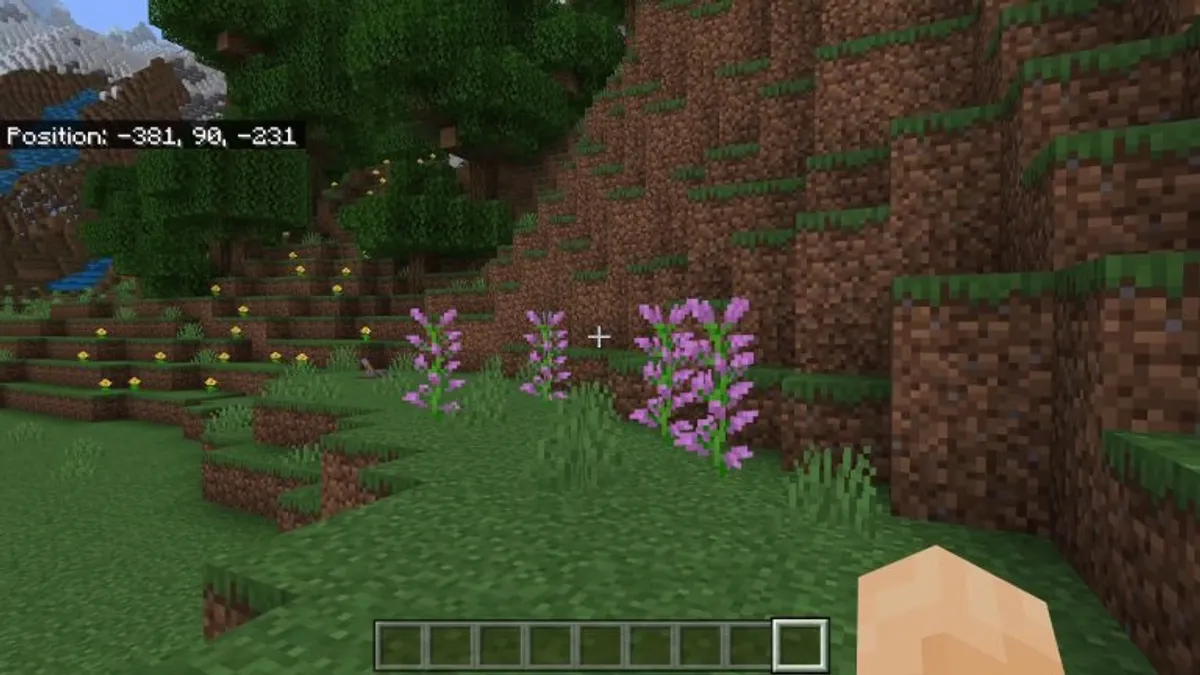 Stop Motion Animation