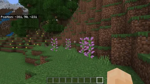 Stop Motion Animation