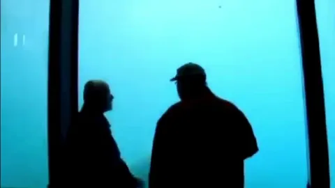 Polar bear throws a rock into the aquarium glass, which ends up damaging it