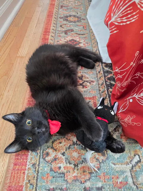 Wanted to show off my son