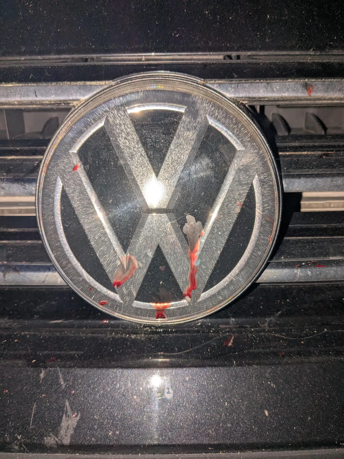 Found a shit ton of scratches and dried blood on my car tonight, looks like maybe some rabid animals were fighting near it?