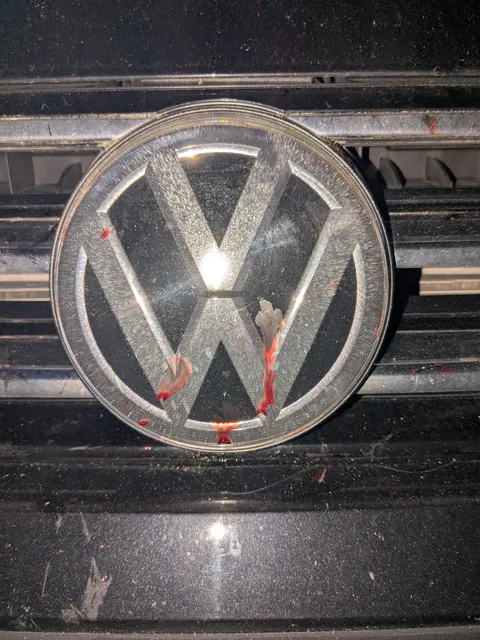 Found a shit ton of scratches and dried blood on my car tonight, looks like maybe some rabid animals were fighting near it?