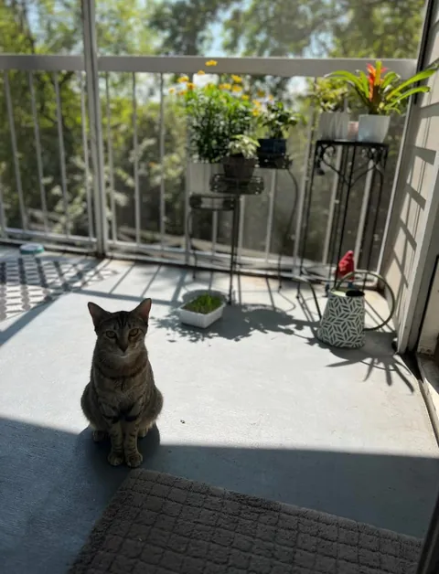 Kept the family together