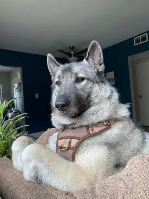 He’s so wise.. so majestic