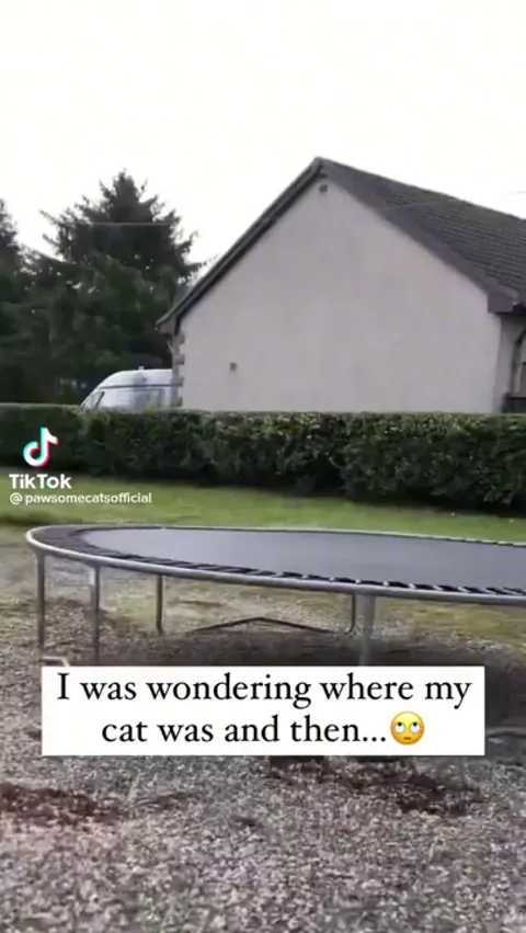 yeah, this is my spot