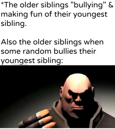 The Youngest Sibling's Guardian Angels