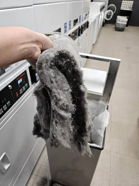 Moved into a building with shared laundry