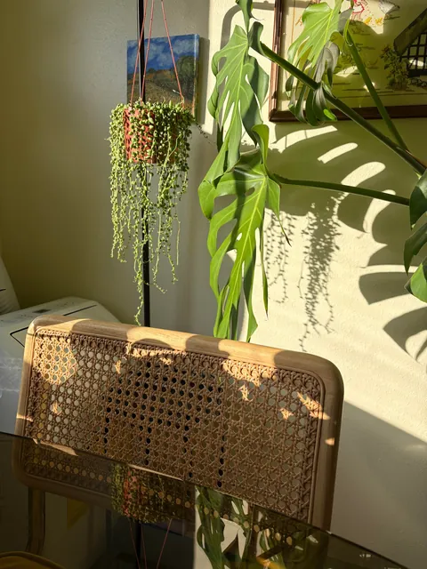 I’m 30 and finally able to live on my own in my own place ❤️