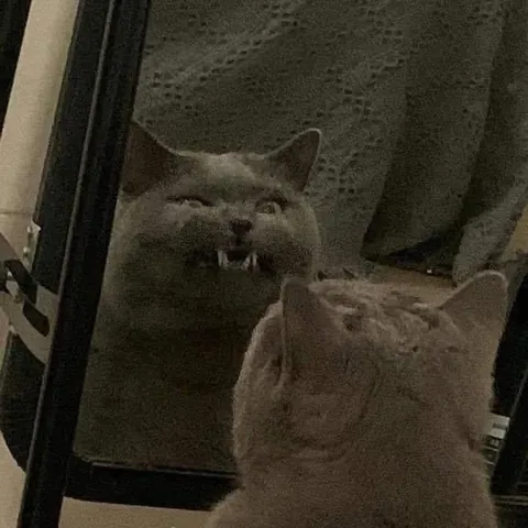 Practicing his scary look and felt embarrassed after realizing he’s being watched 😂