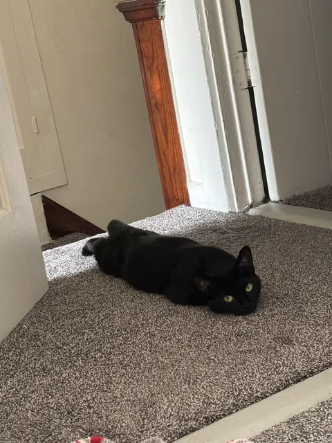 What do you guys call this?