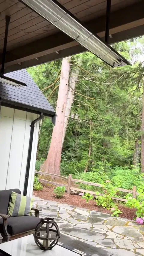 🔥 A pair of nosey owlets left confused by a couple of squirrels