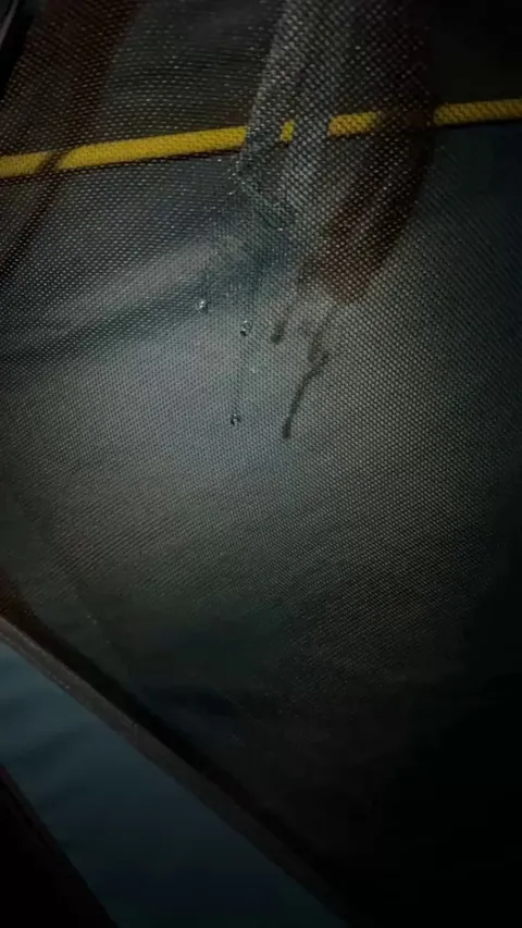 My wife asked how my camping trip was going so I sent her this