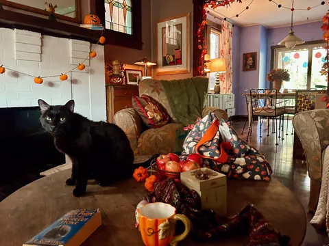 I just love Halloween 🐈‍⬛🎃🍁