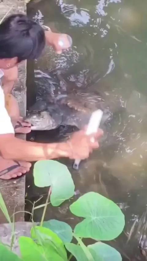 Chilling by the waterside with Zero situational awareness