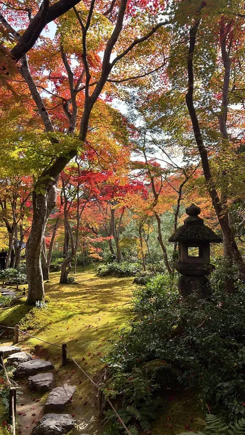Kyoto, Japan Trip in November 2025.