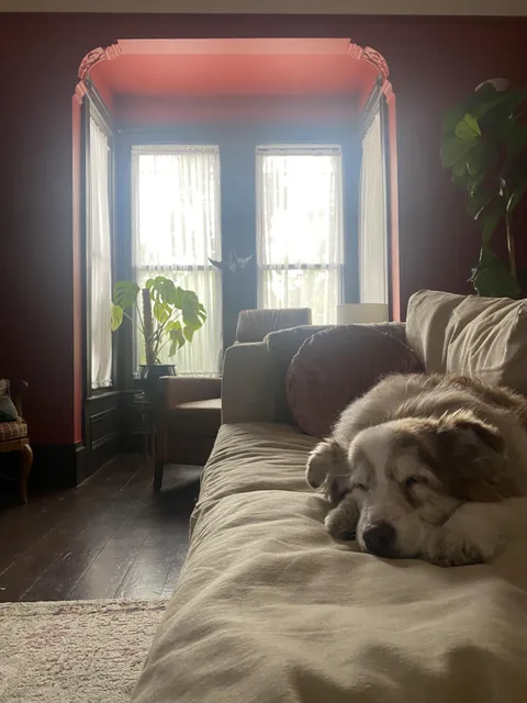 First rainy day this fall in Northern California.