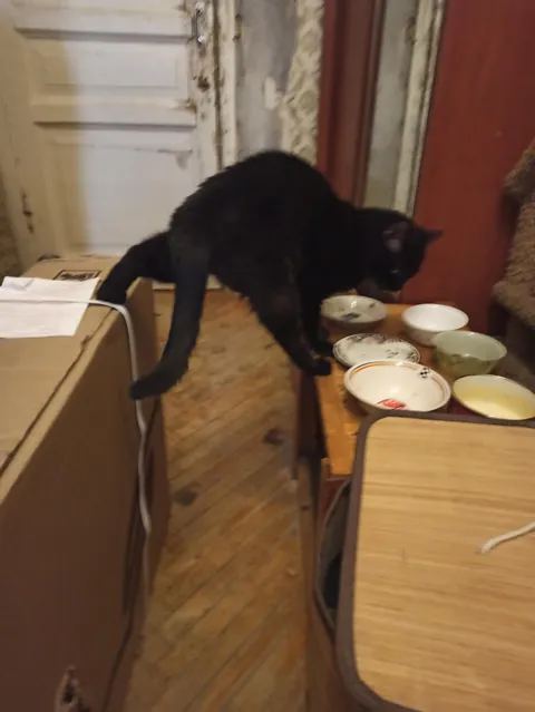 Is it because we named him Crisis?