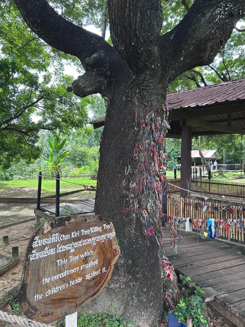 2 weeks in Cambodia 🇰🇭