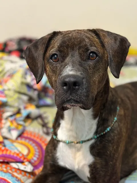 My mommy says I’m a very pretty girl