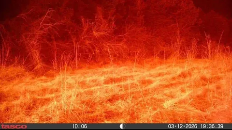A trail cam that went through a wild fire in Nebraska it survived and took photos