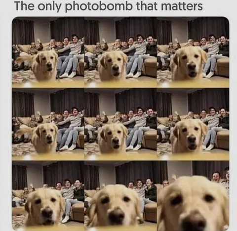 The real star of the show!