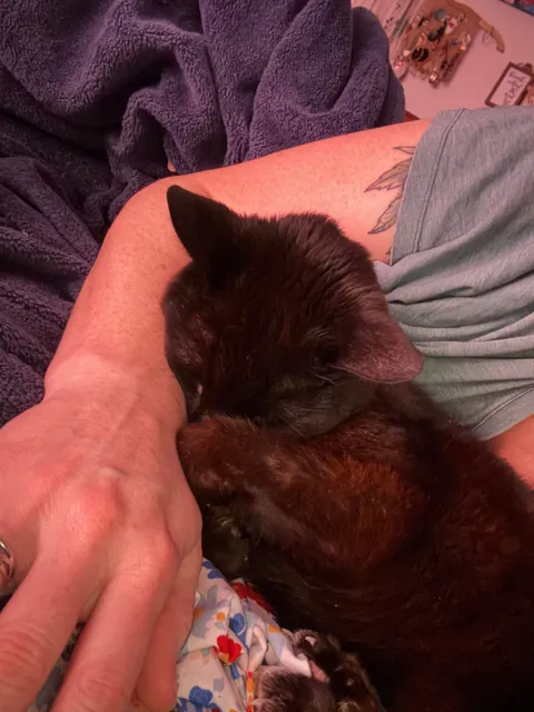 Love of my life beat cancer and turned 18 in Feb! Mr. Frank