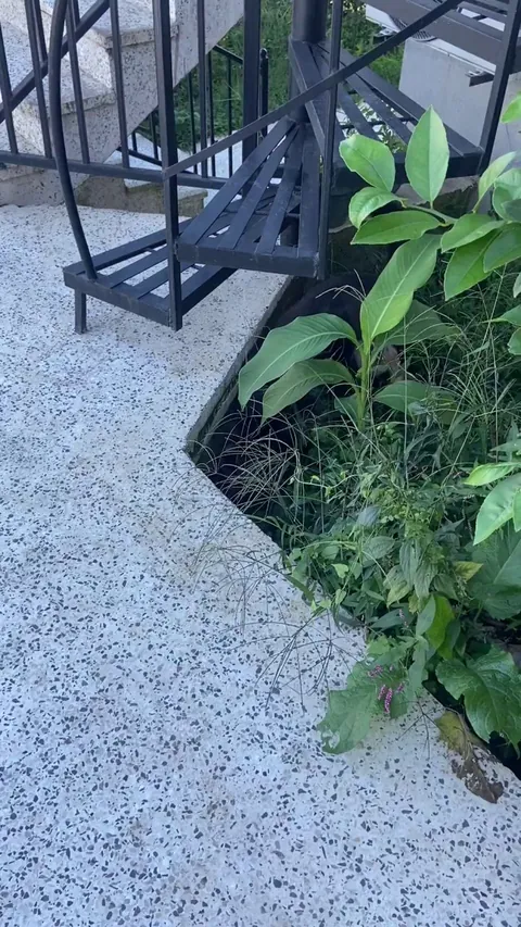 dog caught being adorable