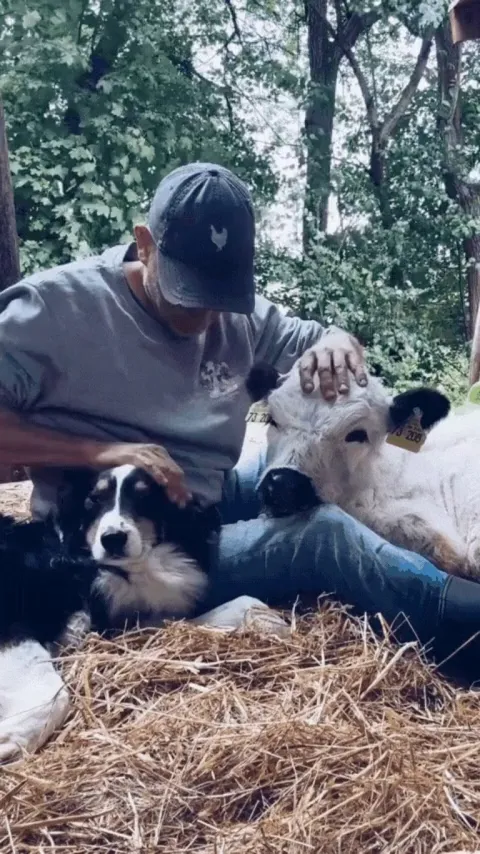 These two goodest boyes deserve all the pets in the world