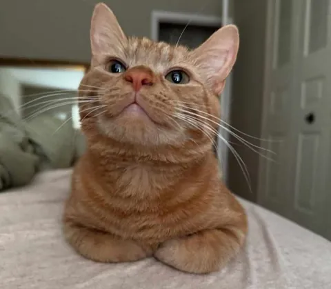 Tell me I'm handsome please 🥺