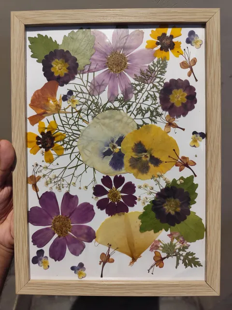 I pressed flowers from my winter garden for my girlfriend