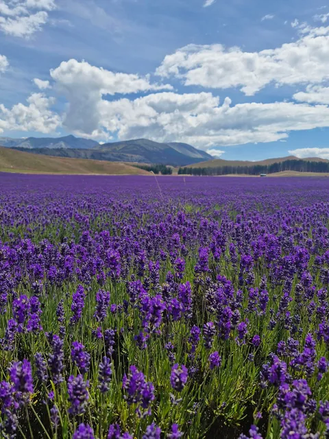 Short &amp; Sweet one week trip to New Zealand 