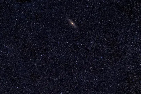 My favorite image I've ever taken. 