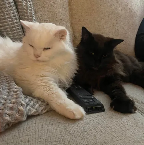 My Void with his Cloud 