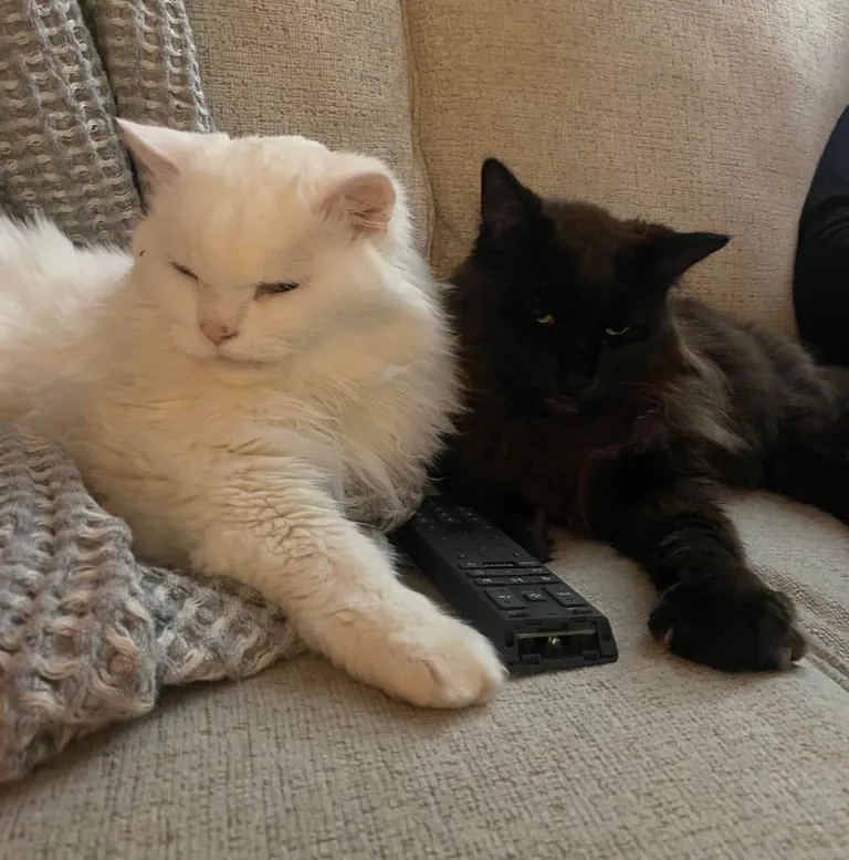 My Void with his Cloud 